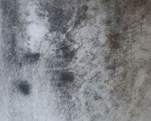 ACIDATURE