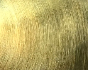 Ottone Anticato
